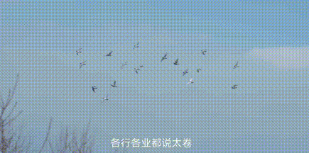 640?wx_fmt=gif&from=appmsg 图片